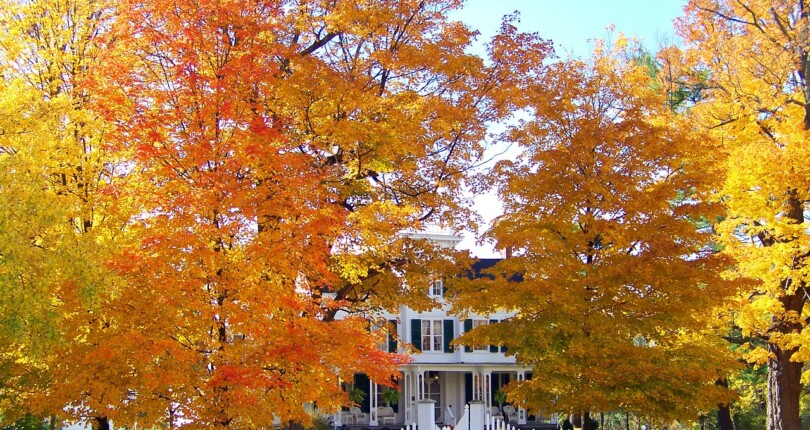 Top 10 Fall Maintenance Tips For Landlords And Property Managers